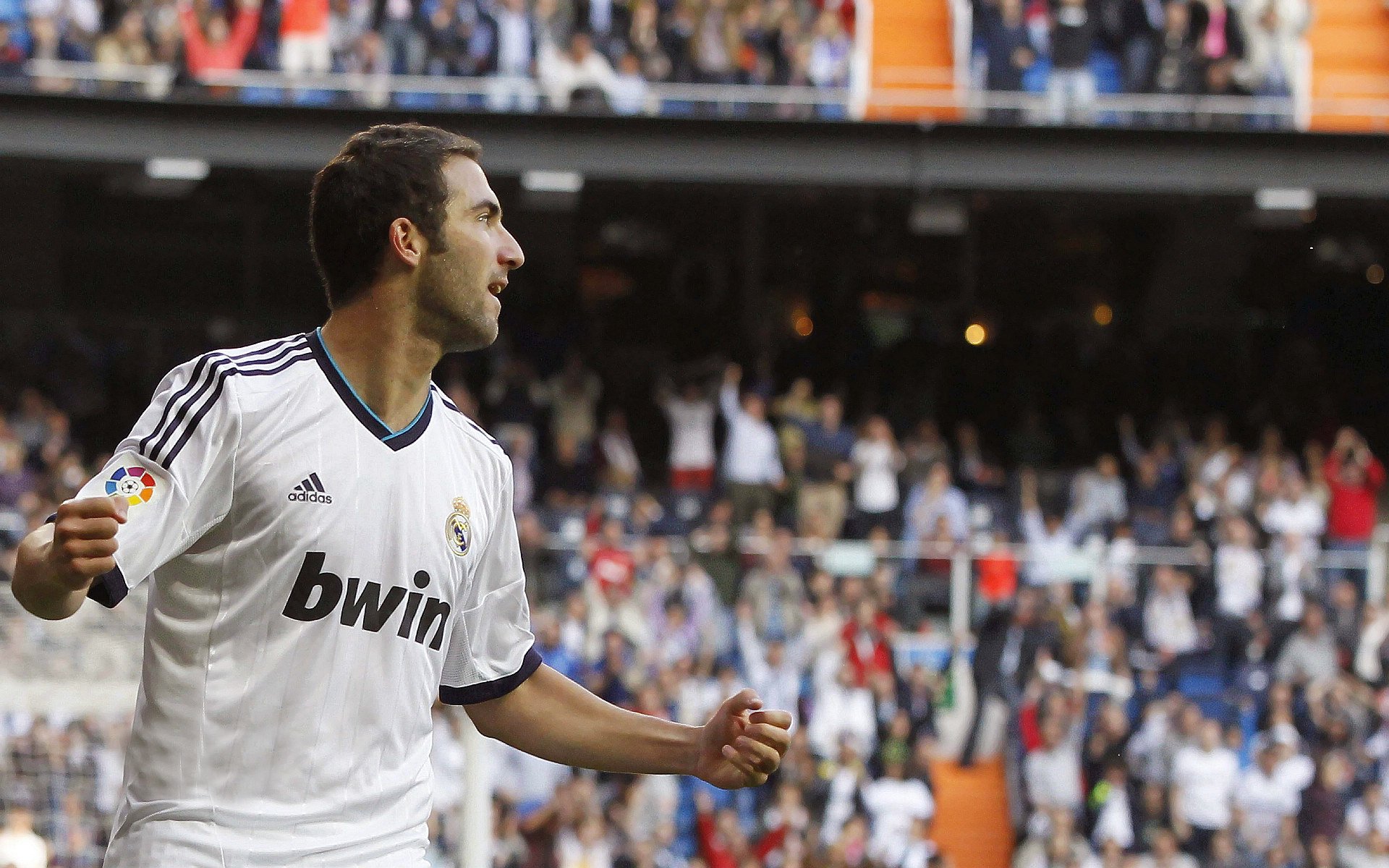 王者荣耀 赛事观众人数持续增长，王者荣耀比赛现场观众